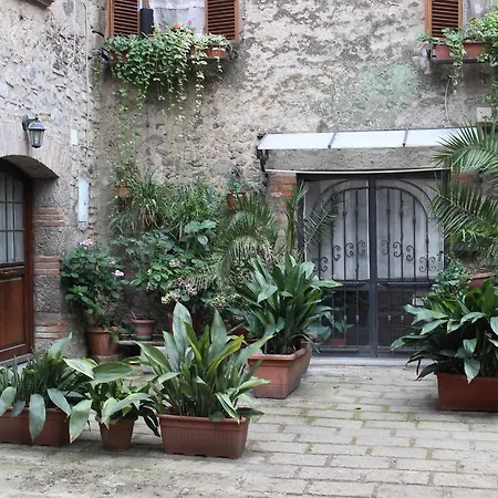 Casa Olivia Casa vacanze